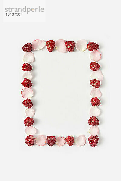 Border of frame made from raspberries and rose petals against white background