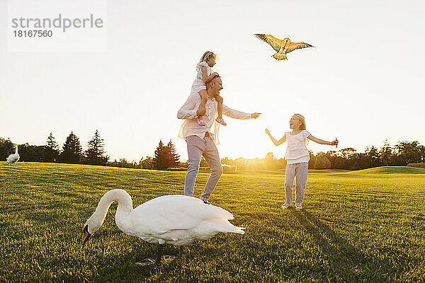 Vater lässt Drachen steigen  mit Töchtern und Schwan im Vordergrund im Park