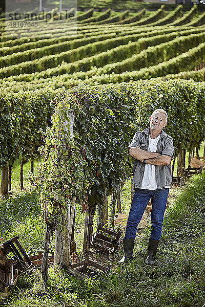 Lächelnder reifer Bauer steht mit verschränkten Armen im Weinberg