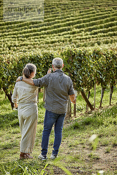 Mann und Frau halten Weingläser vor dem Weinberg