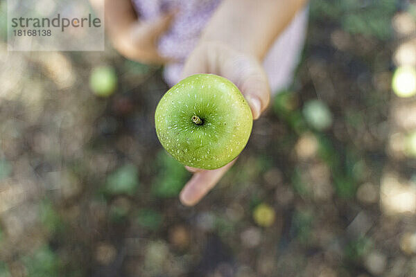 Hand eines Mädchens zeigt grünen Apfel