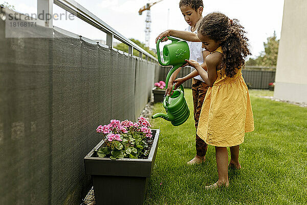 Mädchen und Junge gießen Topfpflanze mit grüner Dose im Garten