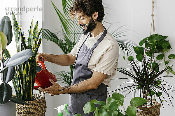 Lächelnder Mann gießt Pflanze aus Dose im Pflanzenladen