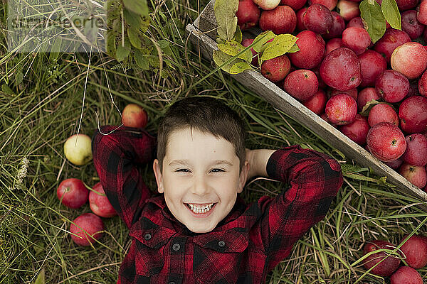 Glücklicher süßer Junge  der neben einer Kiste Äpfel im Gras liegt