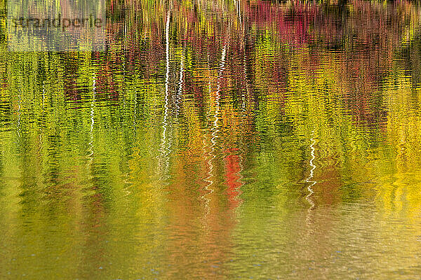 Herbstbäume spiegeln sich im Badesee Erlabrunn