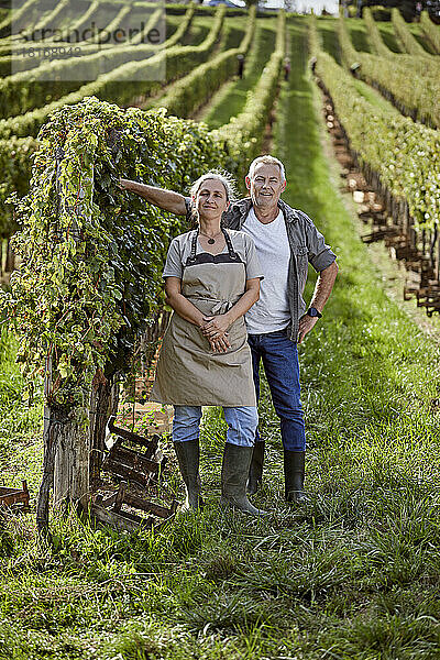 Lächelnde reife Bauern stehen neben der Weinrebe im Weinberg