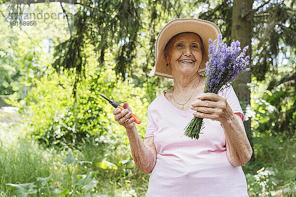 Lächelnde ältere Frau mit einer Gartenschere  die einen Strauß Lavendelblüten hält