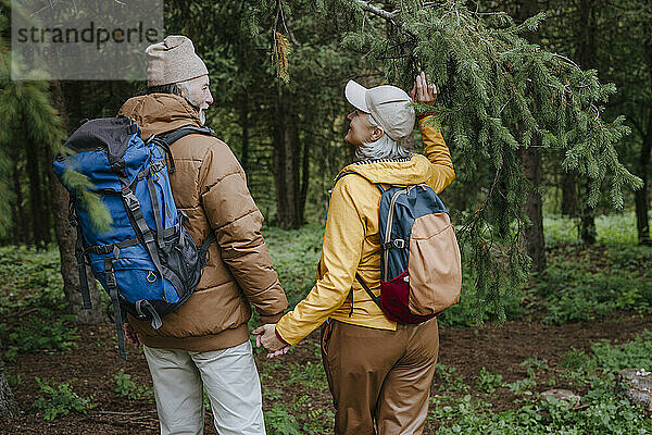 Älterer Mann hält Händchen einer Frau  die gemeinsam im Wald spaziert
