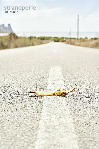 Banana peel on road