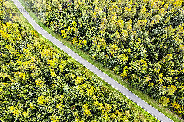 Deutschland  Baden-Württemberg  Drohnenansicht einer Landstraße  die durch grünen Herbstwald im Remstal führt