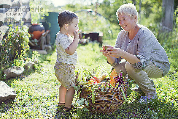 Glückliche reife Frau mit Enkel  der an einem sonnigen Tag neben dem Gemüsekorb steht