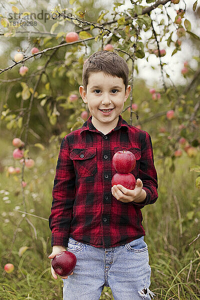 Lächelnder süßer Junge mit Äpfeln  der auf dem Bauernhof steht