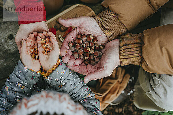 Grandparents and granddaughter holding hazelnuts in hand