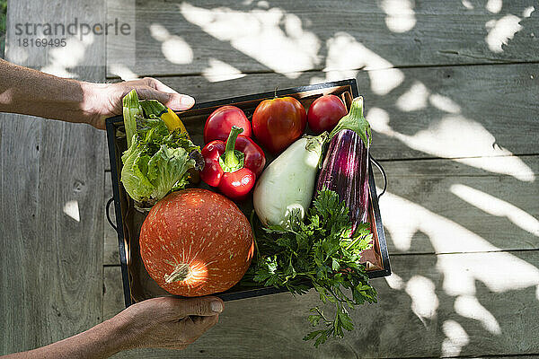 Hands of man holding vegetables in wooden crate on table