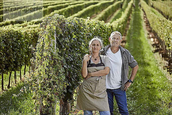 Lächelnde reife Bauern stehen an einem sonnigen Tag neben der Weinrebe im Weinberg