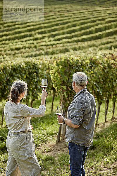 Älteres Paar hält Weingläser vor dem Weinberg