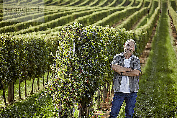 Lächelnder Bauer mit verschränkten Armen im Weinberg