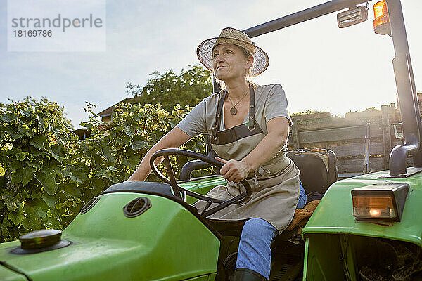 Bauer mit Strohhut fährt Traktor im Weinberg