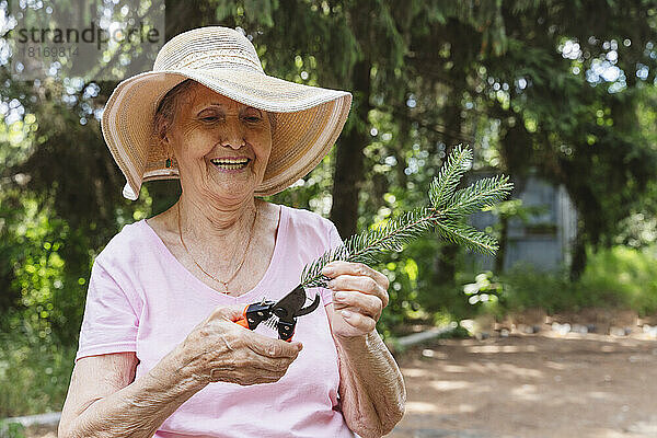 Glückliche Seniorin schneidet Pflanze mit Gartenschere im Park