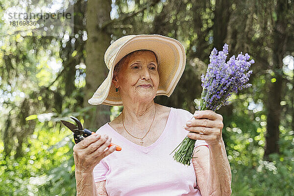 Ältere Frau mit Gartenschere hält einen Strauß Lavendelblüten