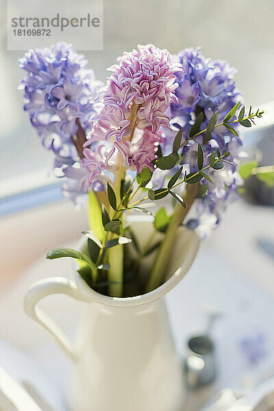 Hyacinth flowers in vase at home