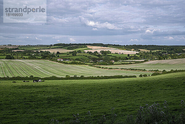 Landwirtschaftliche Felder in der Umgebung von Rockbourne  in der Nähe von Salisbury  Wiltshire  Großbritannien; Rockbourne  Wiltshire  England