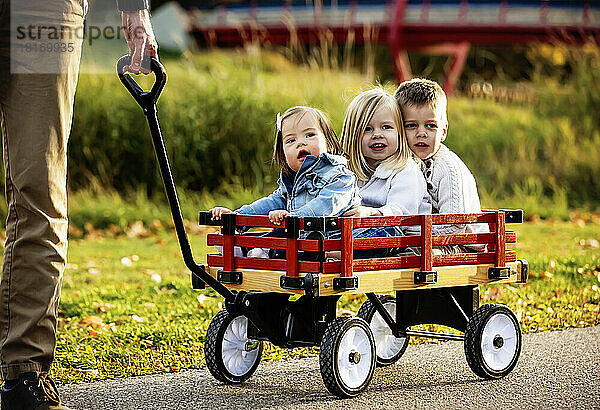 Ein Vater zieht seine kleinen Kinder in einem Wagen in einem Stadtpark während der Herbstsaison; sein kleines Mädchen hat das Down-Syndrom; St. Albert  Alberta  Kanada