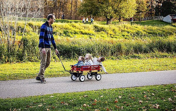 Ein Vater zieht seine kleinen Kinder in einem Wagen entlang eines Flusses in einem Stadtpark mit einer Brücke im Hintergrund während der Herbstsaison; sein kleines Mädchen hat das Down-Syndrom; St. Albert  Alberta  Kanada