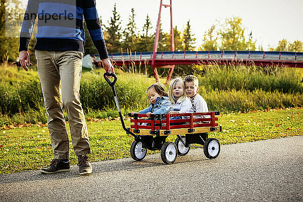 Ein Vater zieht seine kleinen Kinder in einem Wagen entlang eines Flusses in einem Stadtpark mit einer Brücke im Hintergrund während der Herbstsaison; sein kleines Mädchen hat das Down-Syndrom; St. Albert  Alberta  Kanada