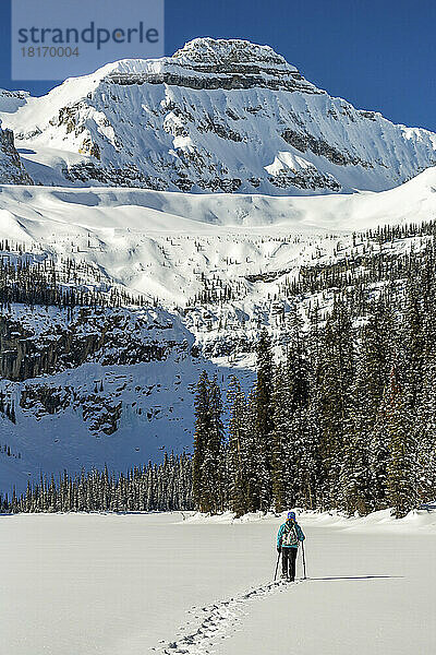 Frau beim Schneeschuhwandern auf einem unberührten schneebedeckten See mit schneebedeckten Rocky Mountains im Banff National Park; Lake Louise  Alberta  Kanada