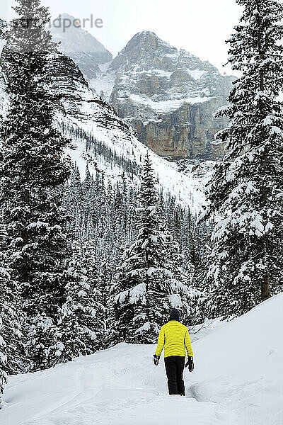 Frau beim Schneeschuhwandern auf einem schneebedeckten Weg mit schneebedeckten Bäumen und Rocky Mountains im Banff National Park; Lake Louise  Alberta  Kanada