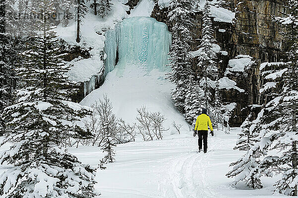 Frau beim Schneeschuhwandern auf einem schneebedeckten Weg mit einem Eisfall auf einer Klippe mit schneebedeckten Bäumen im Banff National Park; Lake Louise  Alberta  Kanada