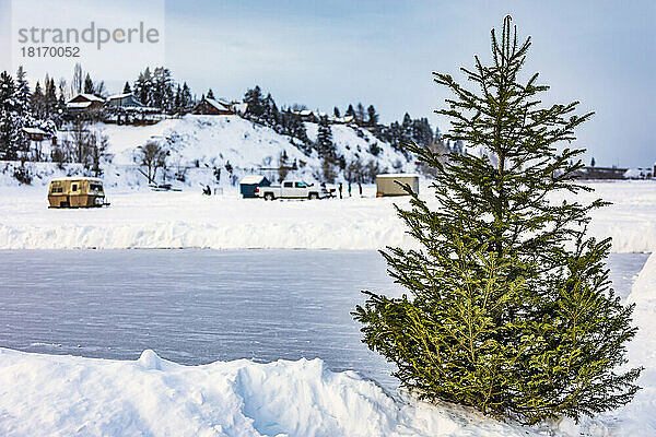 Blick auf eine Eislaufbahn auf dem Windermere Lake mit einem Weihnachtsbaum und Eisanglern im Hintergrund  Windermere Lake Provincial Park; Invermere  British Columbia  Kanada