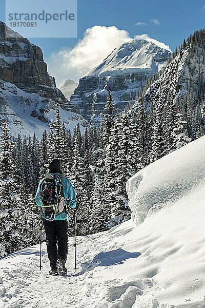 Wanderung auf einem schneebedeckten Weg mit schneebedeckten Bäumen und Rocky Mountains im Banff National Park; Lake Louise  Alberta  Kanada