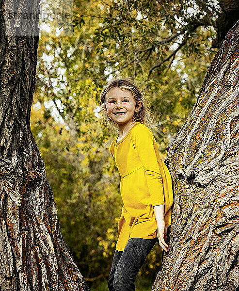 Junges Mädchen  das in einem großen Baum spielt und an einem warmen Herbstnachmittag in einem Stadtpark für ein Foto posiert; St. Albert  Alberta  Kanada