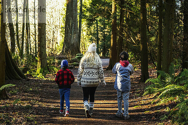 Eine Mutter und zwei Söhne gehen auf einem Waldweg im Herbst spazieren; Langley  British Columbia  Kanada
