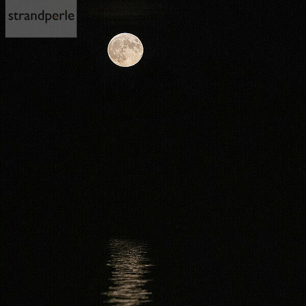 Der Vollmond leuchtet am schwarzen Himmel  beleuchtete Ansicht der nahen Seite des Mondes  die sich im Wasser spiegelt; Ontario  Kanada