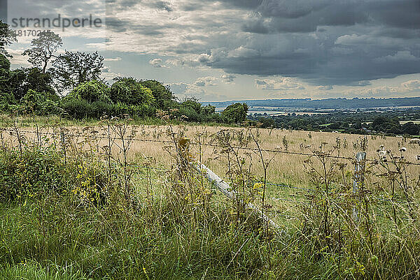 Landwirtschaftliche Felder in der Umgebung von Rockbourne  in der Nähe von Salisbury  Wiltshire  Großbritannien; Rockbourne  Wiltshire  England