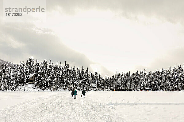 Touristen wandern mit einem Hund über einen zugefrorenen Emerald Lake mit den Rocky Mountains im Hintergrund im Winter im Yoho National Park; British Columbia  Kanada