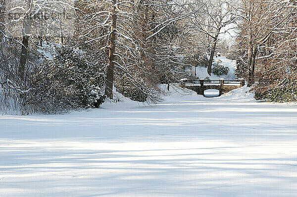 Eine schneebedeckte Landschaft mit einem Teich  Bäumen und einer Fußgängerbrücke; Cambridge  Massachusetts.