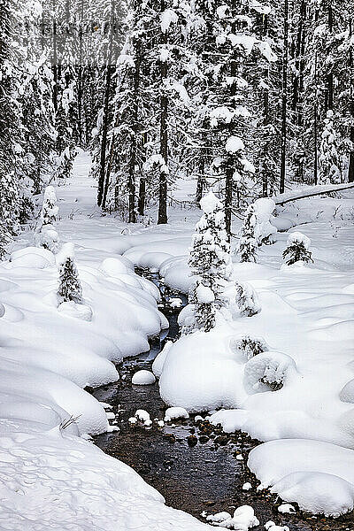 Teilweise zugefrorener Bach im Banff National Park im Winter; Banff  Alberta  Kanada