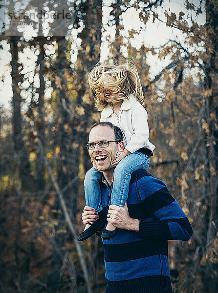 Ein Vater trägt seine kleine Tochter auf den Schultern  während er im Herbst in einem Stadtpark spazieren geht; St. Albert  Alberta  Kanada