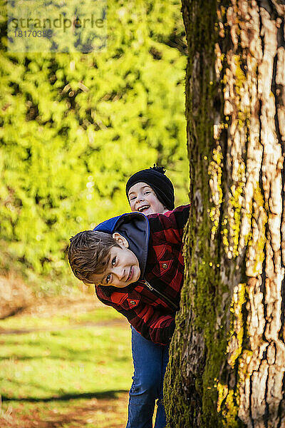 Zwei Jungen  die mit einem breiten Lächeln hinter einem Baum hervorschauen; Langley  British Columbia  Kanada