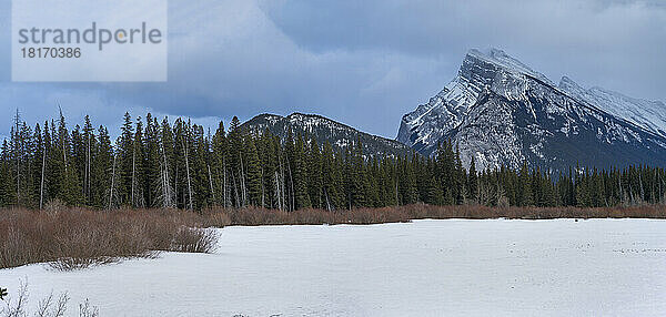 Winterszene mit Mount Rundle im Banff National Park  Alberta  Kanada; Improvement District No. 9  Alberta  Kanada