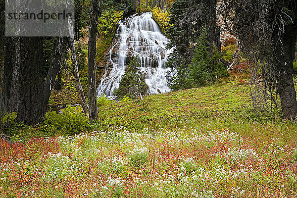 Die Herbstfarben verleihen den Umbrella Falls im Mount Hood National Forest  Oregon  USA  ihre Schönheit; Oregon  Vereinigte Staaten von Amerika