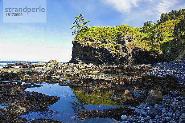 Ebbe und Felsformationen am Otter Rock Beach  Blick nach Norden zum Cape Foulweather; Oregon  Vereinigte Staaten von Amerika