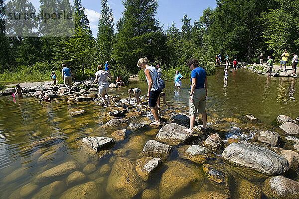 Itasca State Park  Heimat des Oberlaufs des Mississippi; Park Rapids  Minnesota  Vereinigte Staaten von Amerika