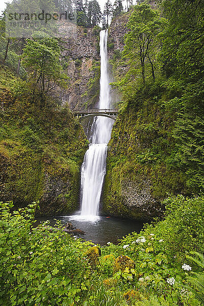 Multnomah Falls in der Columbia River Gorge National Scenic Area; Oregon  Vereinigte Staaten von Amerika