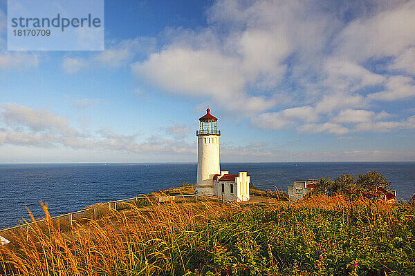 North Head Lighthouse und der Pazifische Ozean entlang der Küste von Washington im Cape Disappointment State Park; Washington  Vereinigte Staaten von Amerika