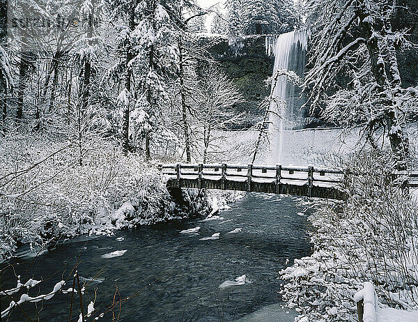Verschneiter Steg und Wasserfall im Silver Falls State Park im Winter; Oregon  Vereinigte Staaten von Amerika